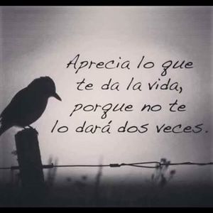 Meet your Posher, Juan